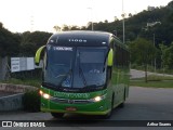 Pássaro Verde 11084 na cidade de Itabirito, Minas Gerais, Brasil, por Arthur Soares. Número da foto: #12999481.