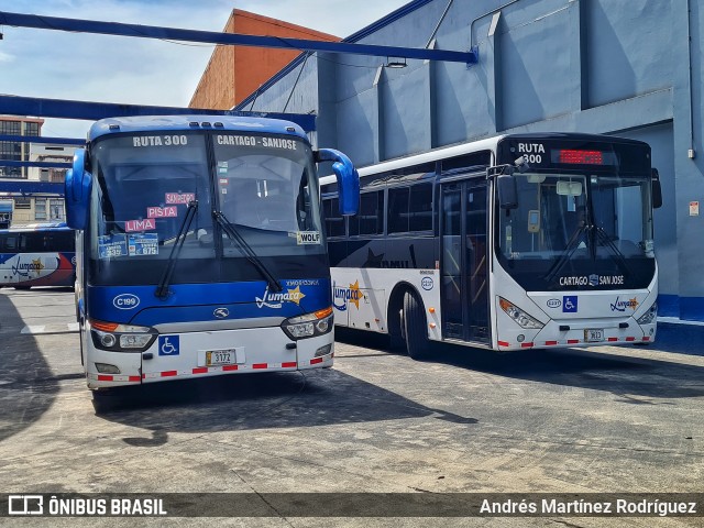 Lumaca C-199 na cidade de Catedral, San José, San José, Costa Rica, por Andrés Martínez Rodríguez. Número da foto: #12932205.