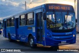 BH Leste Transportes > Nova Vista Transportes > TopBus Transportes 20573 na cidade de Belo Horizonte, Minas Gerais, Brasil, por Gabriel Costa Guimarães. Número da foto: #12930112.