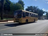 Lince 41 na cidade de Ñemby, Central, Paraguai, por Eliezzer Villasanti Berni. Número da foto: #12929973.