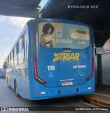Sharp Transportes 119 na cidade de Araucária, Paraná, Brasil, por BUSOLOGIA ACS Caetano. Número da foto: #:id.