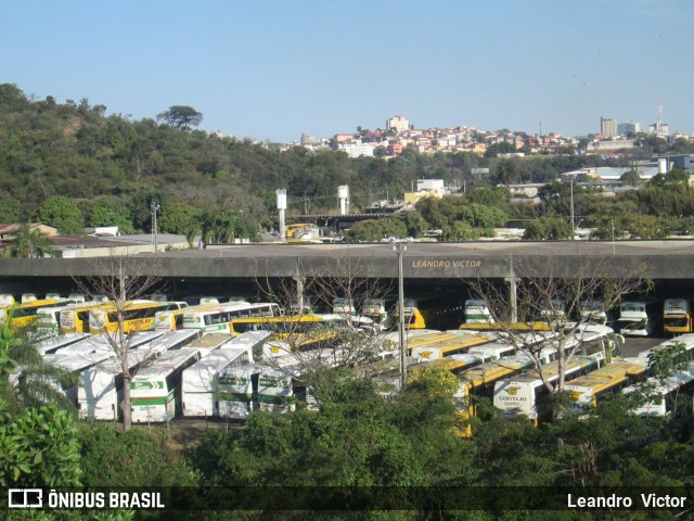 Empresa Gontijo de Transportes  na cidade de Belo Horizonte, Minas Gerais, Brasil, por Leandro  Victor. Número da foto: #13004019.