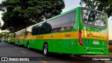 Transportes Capellini 32954 na cidade de Paulínia, São Paulo, Brasil, por Allan Henrique. Número da foto: #13004159.