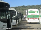Empresa Gontijo de Transportes 11125 na cidade de Belo Horizonte, Minas Gerais, Brasil, por Leandro  Victor. Número da foto: #13004051.