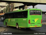 Pássaro Verde 19167 na cidade de Belo Horizonte, Minas Gerais, Brasil, por Douglas Célio Brandao. Número da foto: #:id.