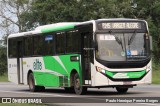 Viação Elite RJ 176.080 na cidade de Barra do Piraí, Rio de Janeiro, Brasil, por Paulo Henrique Pereira Borges. Número da foto: #13004881.