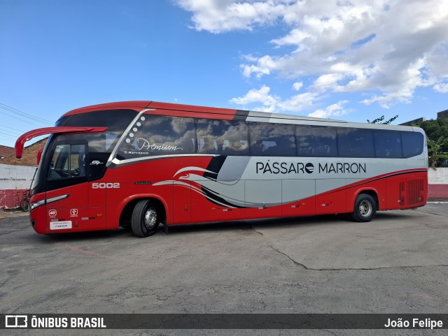 Empresa de Ônibus Pássaro Marron 5002 na cidade de Cruzeiro, São Paulo, Brasil, por João Felipe. Número da foto: #12935251.