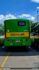 Transportes Capellini 12379 na cidade de Paulínia, São Paulo, Brasil, por Allan Henrique. Número da foto: #12935656.