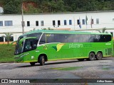Pássaro Verde 19152 na cidade de Itabirito, Minas Gerais, Brasil, por Arthur Soares. Número da foto: #12935060.
