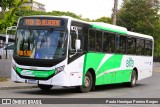 Viação Elite RJ 176.069 na cidade de Volta Redonda, Rio de Janeiro, Brasil, por Paulo Henrique Pereira Borges. Número da foto: #12936523.