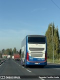 Pullman Eme Bus 262 na cidade de Chimbarongo, Colchagua, Libertador General Bernardo O'Higgins, Chile, por Facundo Castillo Acuña. Número da foto: #12934837.