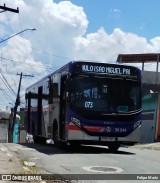 Vipol Transportes Rodoviários - TIPBUS - Transportes Intermunicipal 36.244 na cidade de Guarulhos, São Paulo, Brasil, por Felipe Mariz. Número da foto: #12935589.