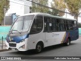 Urbanus Curicó PKPX71 na cidade de Santa Cruz, Colchagua, Libertador General Bernardo O'Higgins, Chile, por Pablo Andres Yavar Espinoza. Número da foto: #12936788.