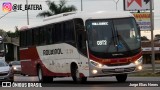 Rouxinol 2265 na cidade de Ribeirão das Neves, Minas Gerais, Brasil, por Jorge Elias Neres. Número da foto: #12936199.