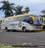 Expresso Araguari 3702 na cidade de Uberlândia, Minas Gerais, Brasil, por Cristiano Neto. Número da foto: #12935225.