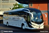 Viação Ouro e Prata 818 na cidade de Porto Alegre, Rio Grande do Sul, Brasil, por Eduardo Ribeiro. Número da foto: #12935831.