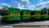 Transportes Capellini 12369 na cidade de Paulínia, São Paulo, Brasil, por Allan Henrique. Número da foto: #12935635.