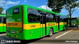Transportes Capellini 12363 na cidade de Paulínia, São Paulo, Brasil, por Allan Henrique. Número da foto: #12937186.