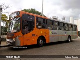 TRANSPPASS - Transporte de Passageiros 8 0983 na cidade de São Paulo, São Paulo, Brasil, por Roberto Teixeira. Número da foto: #12937158.