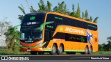 Empresa de Transportes Andorinha 7165 na cidade de Assis, São Paulo, Brasil, por Francisco Ivano. Número da foto: #12939719.