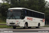 Mariotur Transporte e Turismo Ltda. 11028 na cidade de Farroupilha, Rio Grande do Sul, Brasil, por Lucas Pedro Trojan. Número da foto: #12939362.