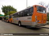 TRANSPPASS - Transporte de Passageiros 8 0983 na cidade de São Paulo, São Paulo, Brasil, por Roberto Teixeira. Número da foto: #12937157.
