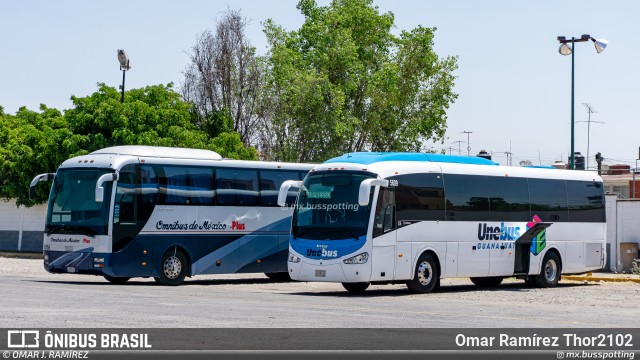 Unebus 5609 na cidade de Guanajuato, Guanajuato, México, por Omar Ramírez Thor2102. Número da foto: #12940916.