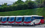 Rouxinol 2505 na cidade de Belo Horizonte, Minas Gerais, Brasil, por Welisson  Oliveira. Número da foto: #:id.
