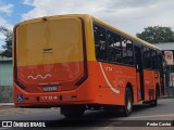 Transrosa 1704 na cidade de Lagoa Santa, Minas Gerais, Brasil, por Pedro Castro. Número da foto: #12940563.