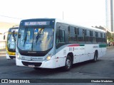 Borborema Imperial Transportes 393 na cidade de Recife, Pernambuco, Brasil, por Glauber Medeiros. Número da foto: #:id.