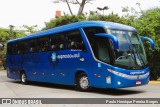 Expresso do Sul 10203 na cidade de São Paulo, São Paulo, Brasil, por Paulo Henrique Pereira Borges. Número da foto: #12941383.