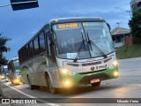 Turin Transportes 1360 na cidade de Conselheiro Lafaiete, Minas Gerais, Brasil, por Eduardo Vieira. Número da foto: #12944386.