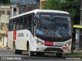 Borborema Imperial Transportes 2013 na cidade de Vitória de Santo Antão, Pernambuco, Brasil, por Kawã Cristovam. Número da foto: #:id.