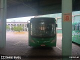 Viação Graciosa 71 na cidade de Paranaguá, Paraná, Brasil, por DIOGO dd. Número da foto: #12944966.