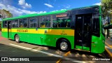 Transportes Capellini 32864 na cidade de Paulínia, São Paulo, Brasil, por Allan Henrique. Número da foto: #12942898.
