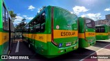 Transportes Capellini 32573 na cidade de Paulínia, São Paulo, Brasil, por Allan Henrique. Número da foto: #12942914.