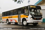 TAP Turismo e Fretamento 118 na cidade de Barra do Piraí, Rio de Janeiro, Brasil, por Paulo Henrique Pereira Borges. Número da foto: #12943778.