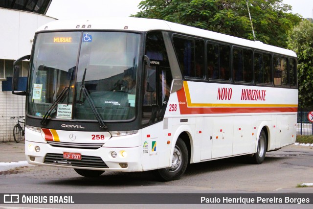 Viação Novo Horizonte 258 na cidade de Muriaé, Minas Gerais, Brasil, por Paulo Henrique Pereira Borges. Número da foto: #12947149.