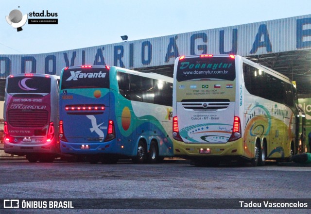 Doannytur 2129 na cidade de Água Boa, Mato Grosso, Brasil, por Tadeu Vasconcelos. Número da foto: #12945910.