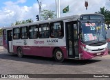 Transportadora Arsenal AA-32804 na cidade de Belém, Pará, Brasil, por Samara Goes. Número da foto: #12946395.
