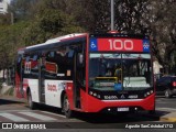 Tarsa 4802 na cidade de Ciudad Autónoma de Buenos Aires, Argentina, por Agustin SanCristobal1712. Número da foto: #12946765.