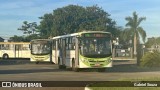 Rápido Araguaia 50594 na cidade de Goiânia, Goiás, Brasil, por Gabriel Souza. Número da foto: #12945396.