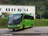 Pássaro Verde 11102 na cidade de Itabirito, Minas Gerais, Brasil, por Arthur Soares. Número da foto: #12945650.