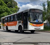 Viasul Transportes Coletivos 1710 na cidade de Itaúna, Minas Gerais, Brasil, por Rafael Ferreira Lopes. Número da foto: #12947326.