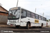 Transporte Rural 84020 na cidade de Guaimbê, São Paulo, Brasil, por Roberto Mendes. Número da foto: #13006944.