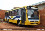Transporte Rural 3A22 na cidade de Guaimbê, São Paulo, Brasil, por Roberto Mendes. Número da foto: #13006960.