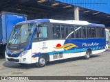 Piccolotur Transportes Turísticos 11501 na cidade de Várzea Paulista, São Paulo, Brasil, por Wellington Oliveira. Número da foto: #:id.