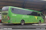 Pássaro Verde 15131 na cidade de Coimbra, Minas Gerais, Brasil, por Christian  Fortunato. Número da foto: #:id.