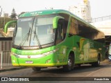 Pássaro Verde 16912 na cidade de Belo Horizonte, Minas Gerais, Brasil, por Renato Brito. Número da foto: #:id.