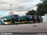 Tocantins Transportes e Turismo 3099 na cidade de Goiânia, Goiás, Brasil, por Afonso de Sousa. Número da foto: #13030939.